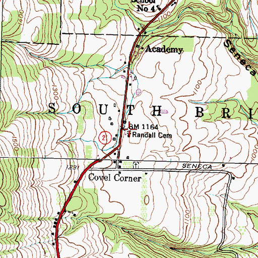 Topographic Map of Randall Cemetery, NY