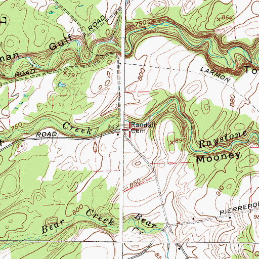 Topographic Map of Randall Cemetery, NY