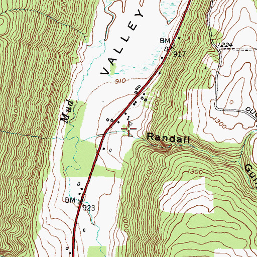 Topographic Map of Randall Gully, NY