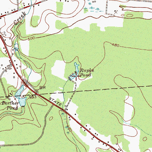 Topographic Map of Rapke Pond, NY