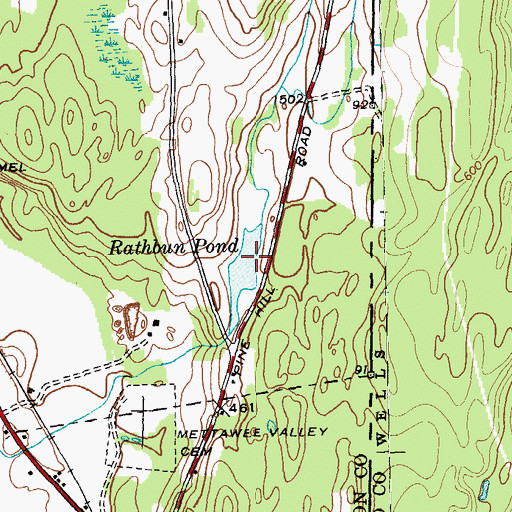 Topographic Map of Rathbun Pond, NY
