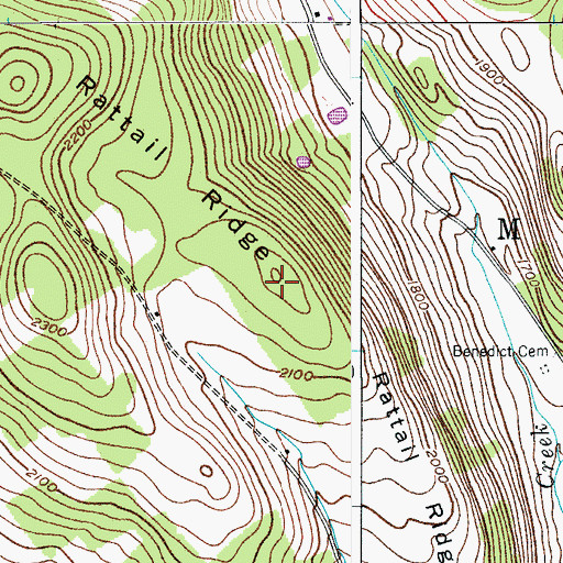 Topographic Map of Rattail Ridge, NY