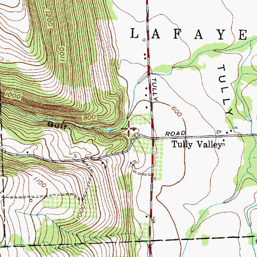 Topographic Map of Rattlesnake Gulf, NY