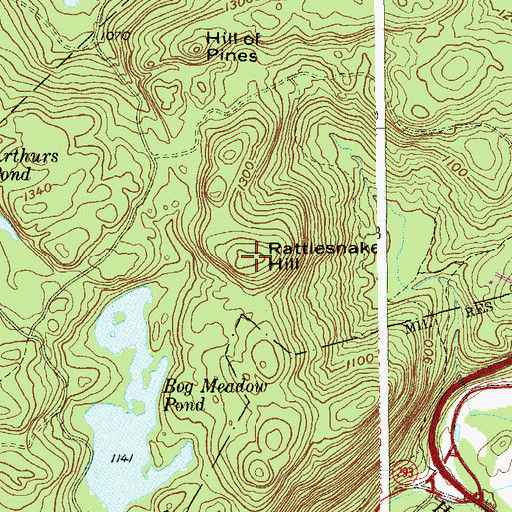 Topographic Map of Rattlesnake Hill, NY