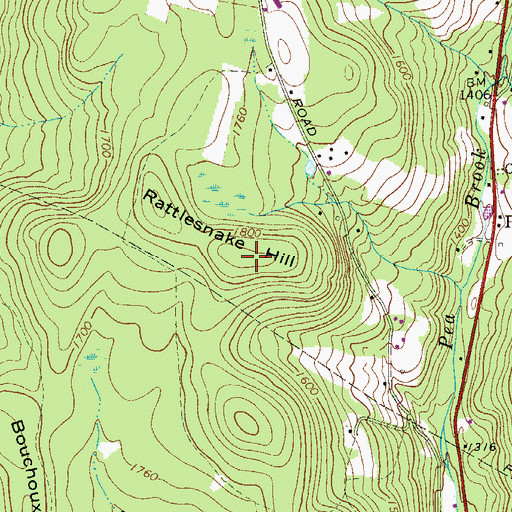 Topographic Map of Rattlesnake Hill, NY