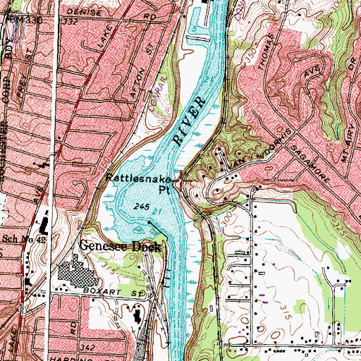 Topographic Map of Rattlesnake Point, NY