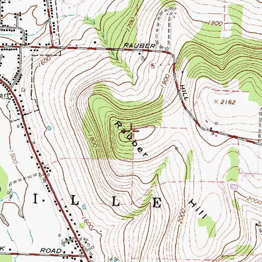 Topographic Map of Rauber Hill, NY