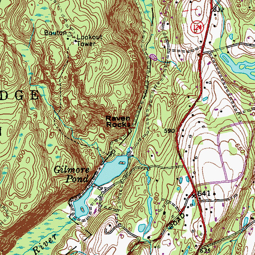 Topographic Map of Raven Rocks, NY