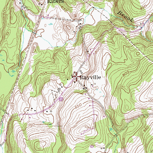 Topographic Map of Rayville, NY