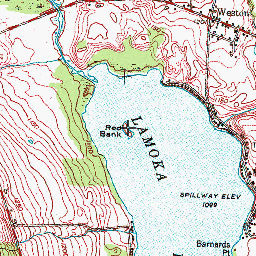 Topographic Map of Red Bank, NY