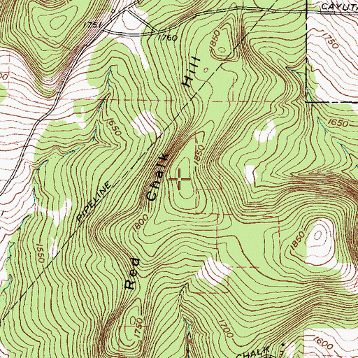 Topographic Map of Red Chalk Hill, NY