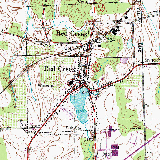 Topographic Map of Red Creek, NY