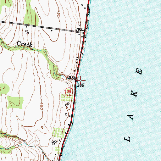 Topographic Map of Red Creek, NY