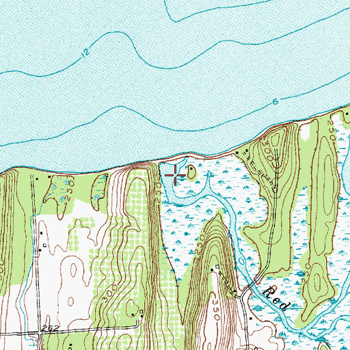 Topographic Map of Red Creek, NY