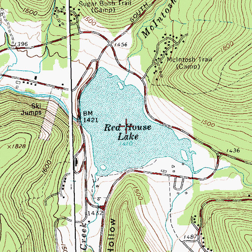 Topographic Map of Red House Lake, NY