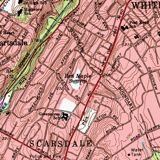 Topographic Map of Red Maple Swamp, NY
