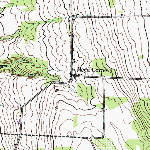 Topographic Map of Reed Corners, NY