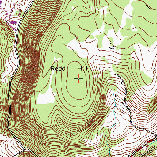 Topographic Map of Reed Hill, NY