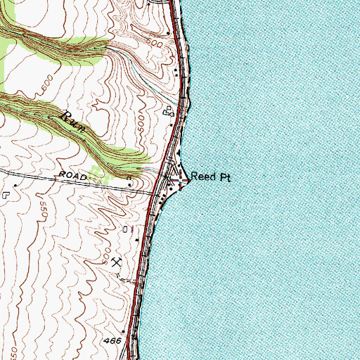 Topographic Map of Reed Point, NY