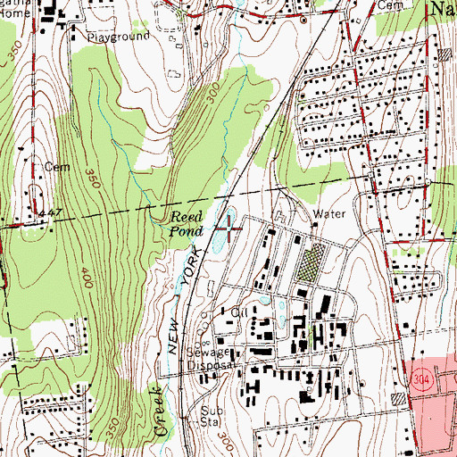 Topographic Map of Reed Pond, NY