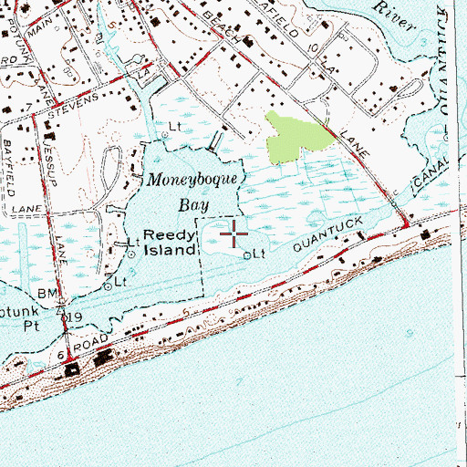 Topographic Map of Reedy Island, NY