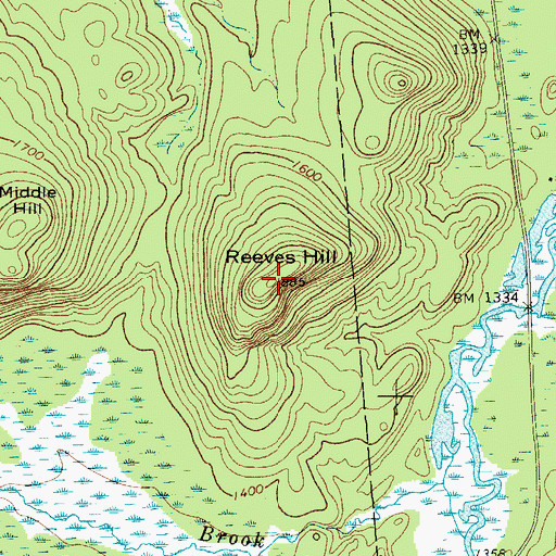 Topographic Map of Reeves Hill, NY