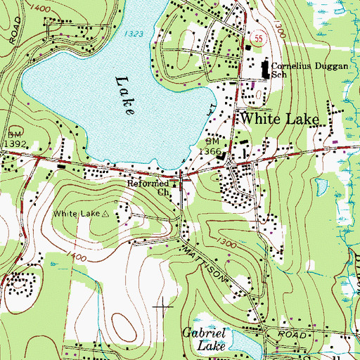Topographic Map of Reformed Church, NY