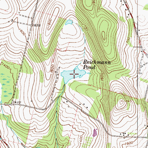 Topographic Map of Reichmann Pond, NY