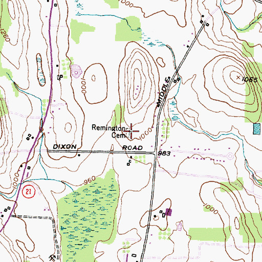 Topographic Map of Remington Cemetery, NY