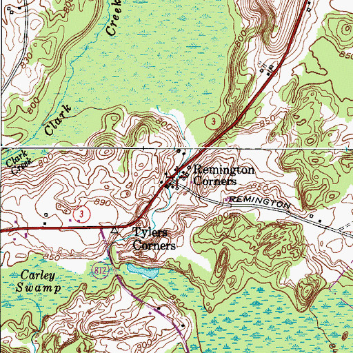 Topographic Map of Remington Corners, NY