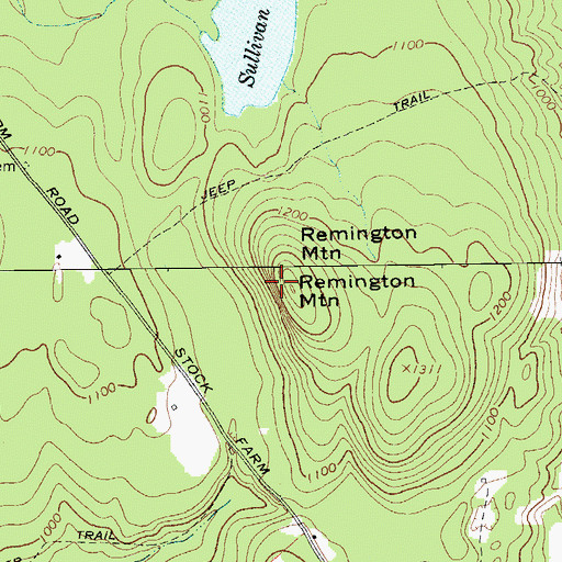 Topographic Map of Remington Mountain, NY