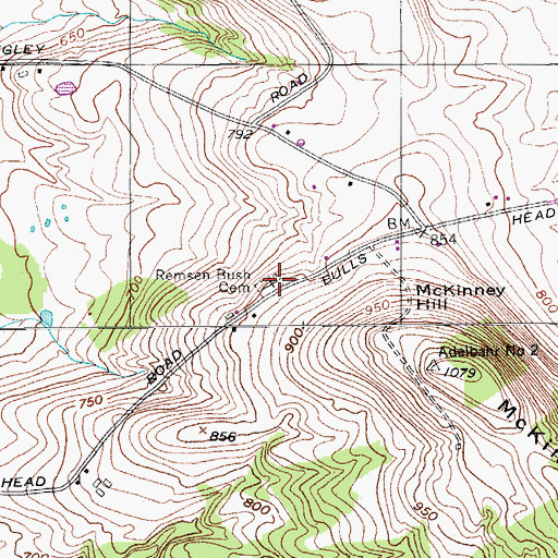 Topographic Map of Remsen Bush Cemetery, NY
