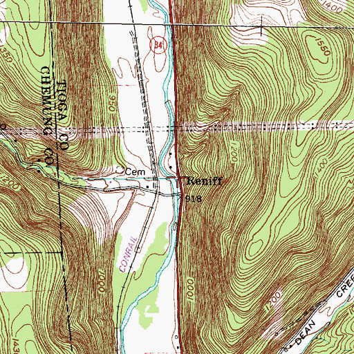 Topographic Map of Reniff Run, NY