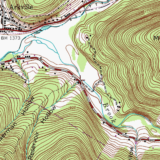 Topographic Map of Reservoir Hollow, NY