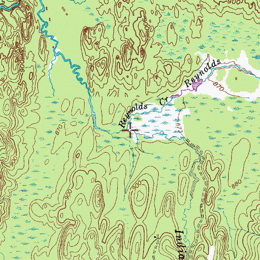 Topographic Map of Reynolds Creek, NY