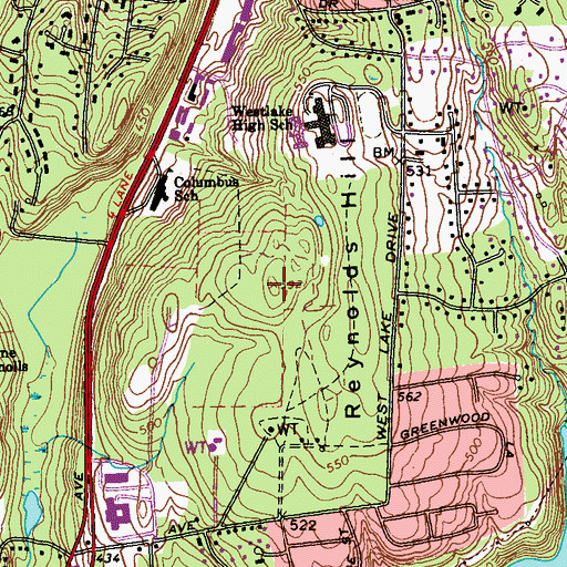 Topographic Map of Reynolds Hill, NY