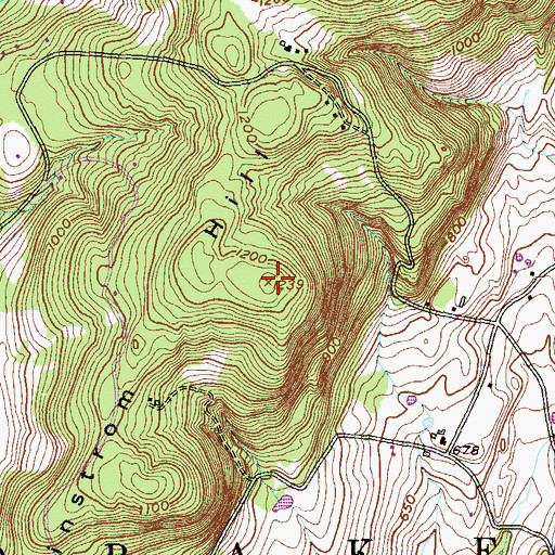 Topographic Map of Rheinstrom Hill, NY