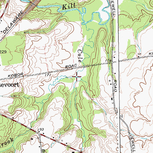 Topographic Map of Rice Brook, NY