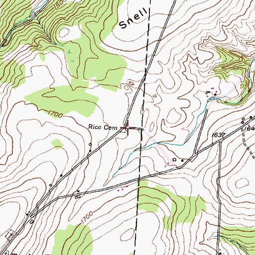 Topographic Map of Rice Cemetery, NY