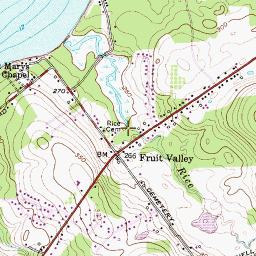 Topographic Map of Rice Cemetery, NY