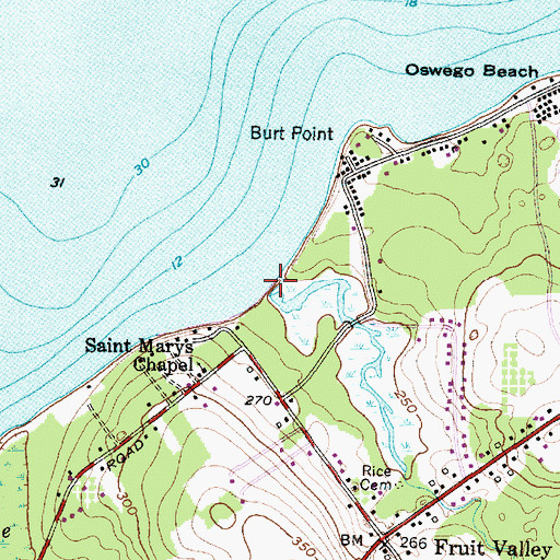 Topographic Map of Rice Creek, NY
