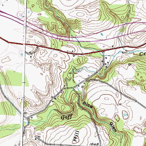 Topographic Map of Rice Glen, NY