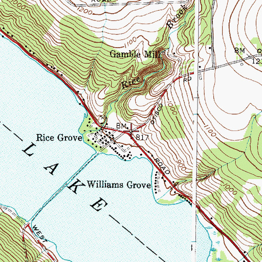 Topographic Map of Rice Grove, NY