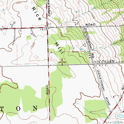 Topographic Map of Rice Hill, NY