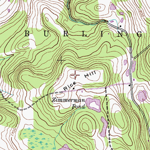 Topographic Map of Rice Hill, NY