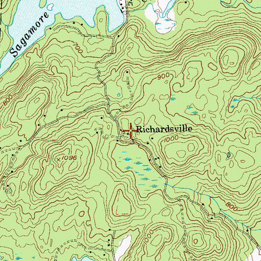 Topographic Map of Richardsville, NY