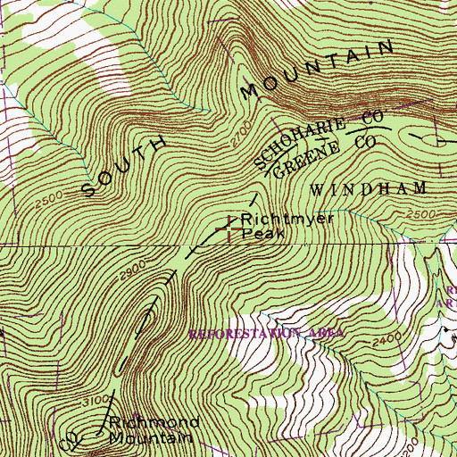 Topographic Map of Richtmyer Peak, NY