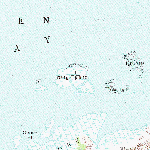 Topographic Map of Ridge Island, NY