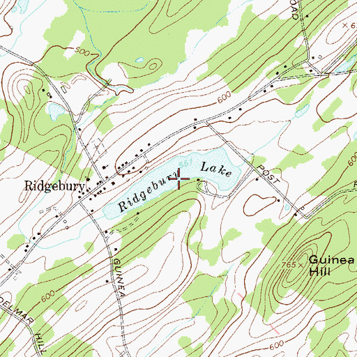 Topographic Map of Ridgebury Lake, NY
