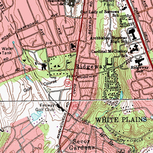 Topographic Map of Ridgeway, NY